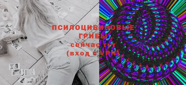 прущая мука Богородицк
