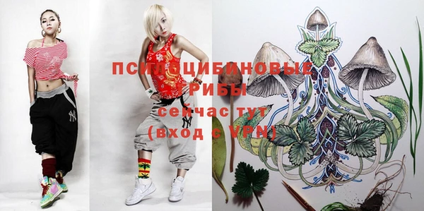 mdpv Богданович