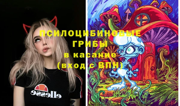 mdpv Богданович