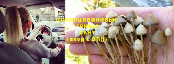 эйфоретик Богородск