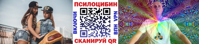 Псилоцибиновые грибы Magic Shrooms купить Петропавловск-Камчатский