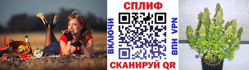 Конопля индика  ОМГ ОМГ ссылки  Петропавловск-Камчатский 